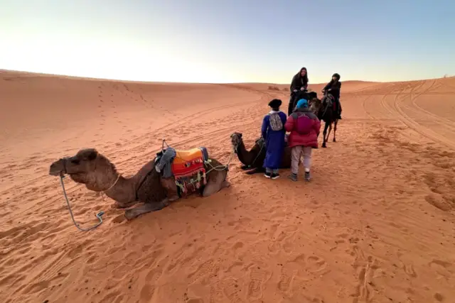 Camellos echados en la arena de Merzouga, al lado de las jaimas, con la primera luz del día