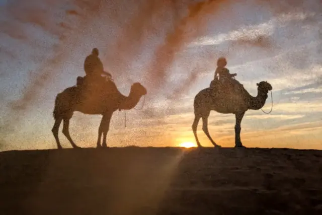 Camellos en caravana sobre las dunas de Erg Chebbi, en Merzouga, con el sol bajo